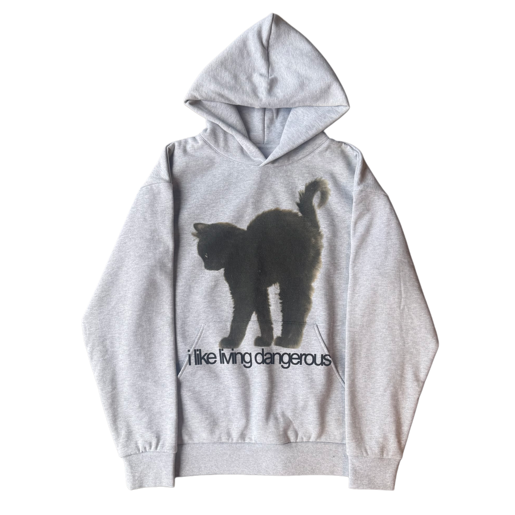 "DANGEROUS" HOODIE